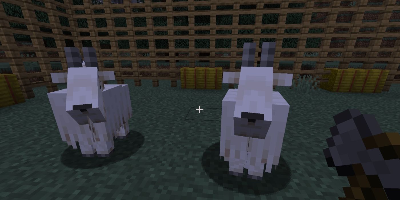 Minecraft Two Goats