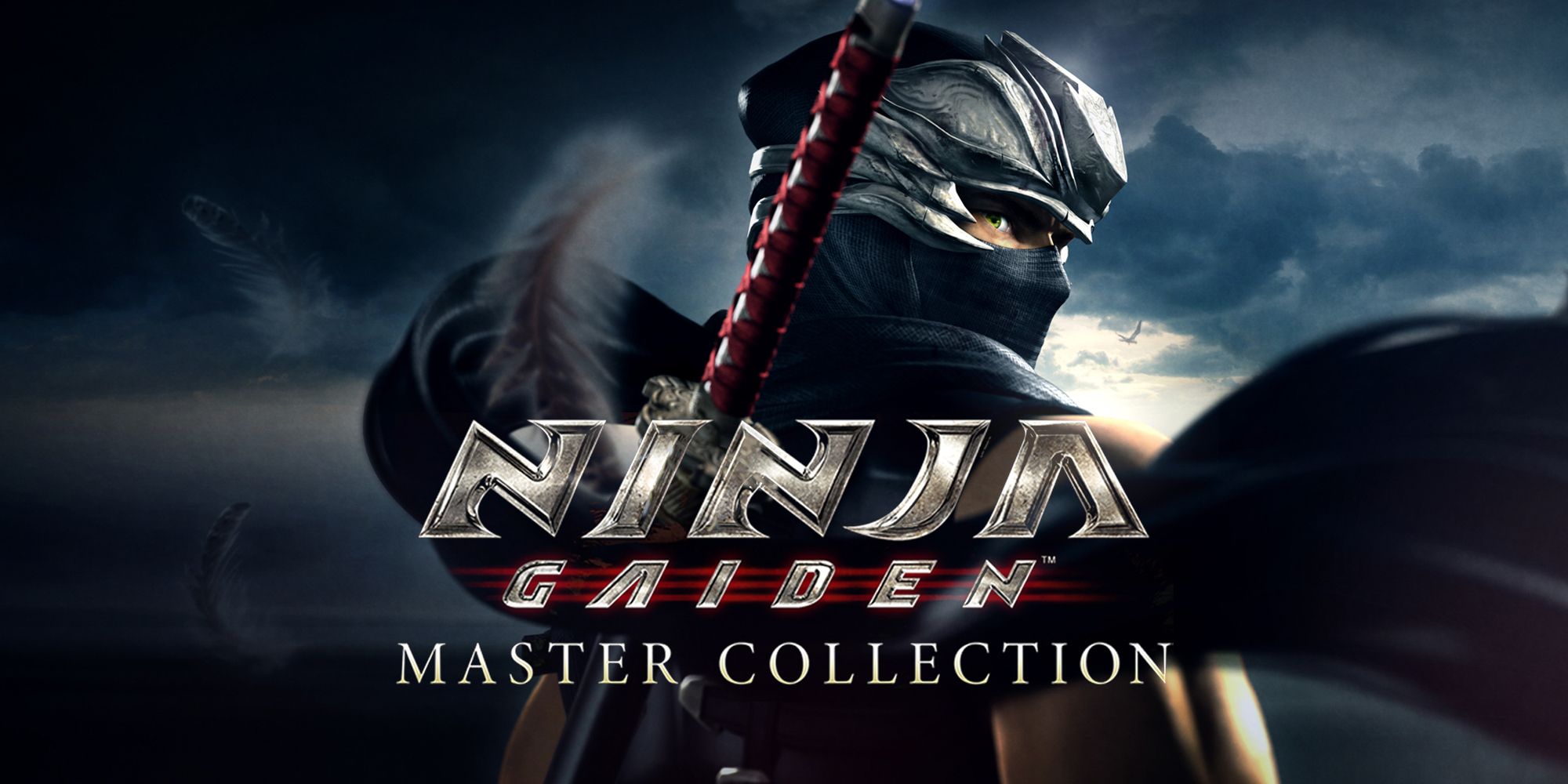 Ninja gaiden collection steam фото 11