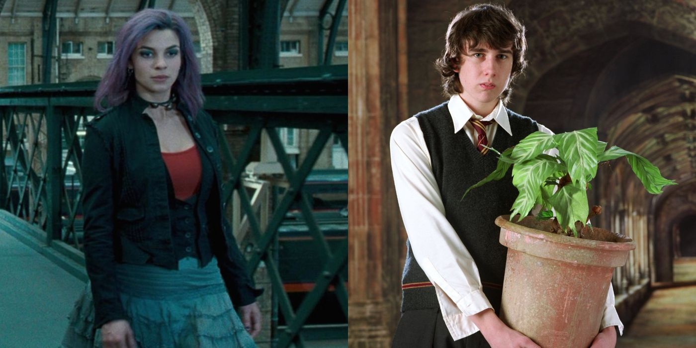 Nympadora Tonks and Neville Longbottom from the Harry Potter series.