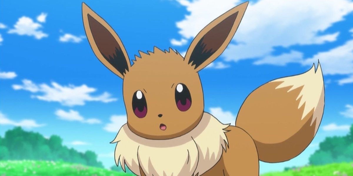 Eevee looking confused in the Pokémon anime