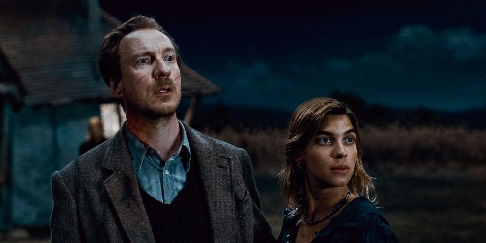 Remus Lupin and Nymphadora Tonks from Harry Potter in a dark field, looking up in worry