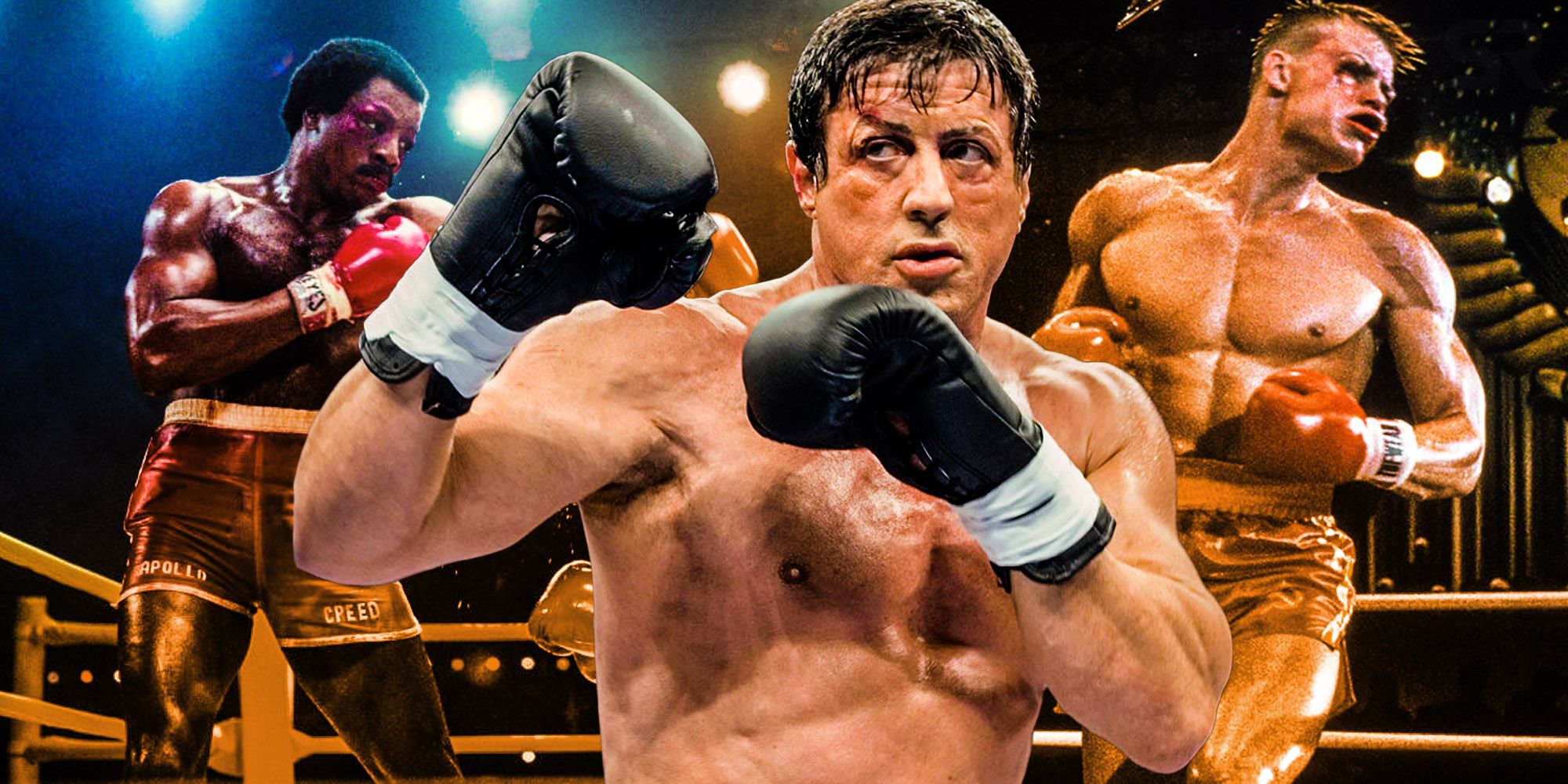 Rocky balboa How Many Fights Rocky Actually Won In His Boxing Career apollo creed ivan drago