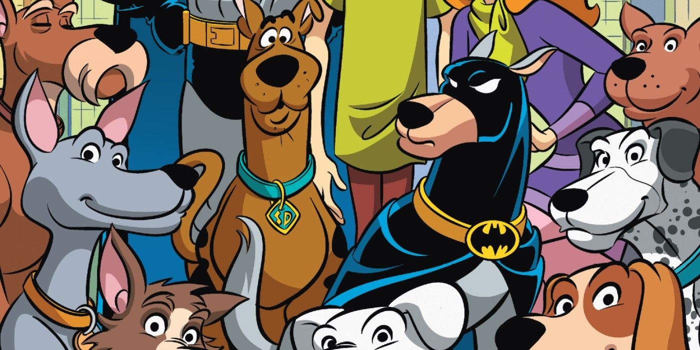 Scooby doo ace the bat-hound batman