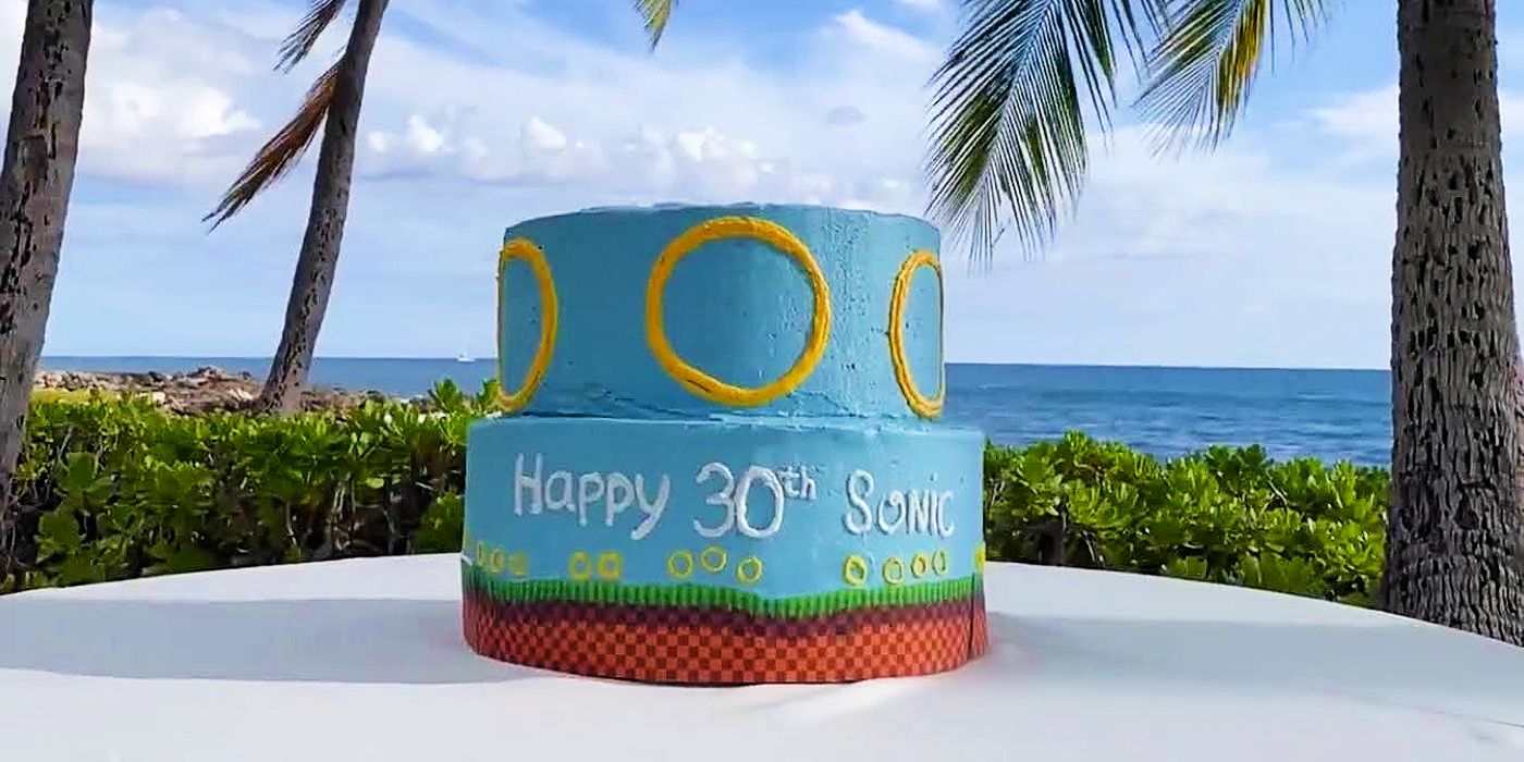 Sonic's 30th Birthday Cake