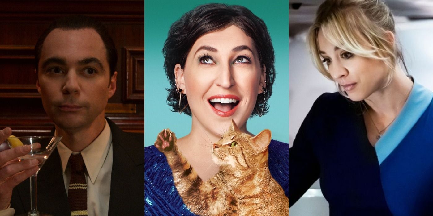 Split image: Jim Parsons holds a drink in Hollywood/ Mayim Bialik holds a cat in Call Me Kat/ Kaley Cuoco dresses as The Flight Attendant