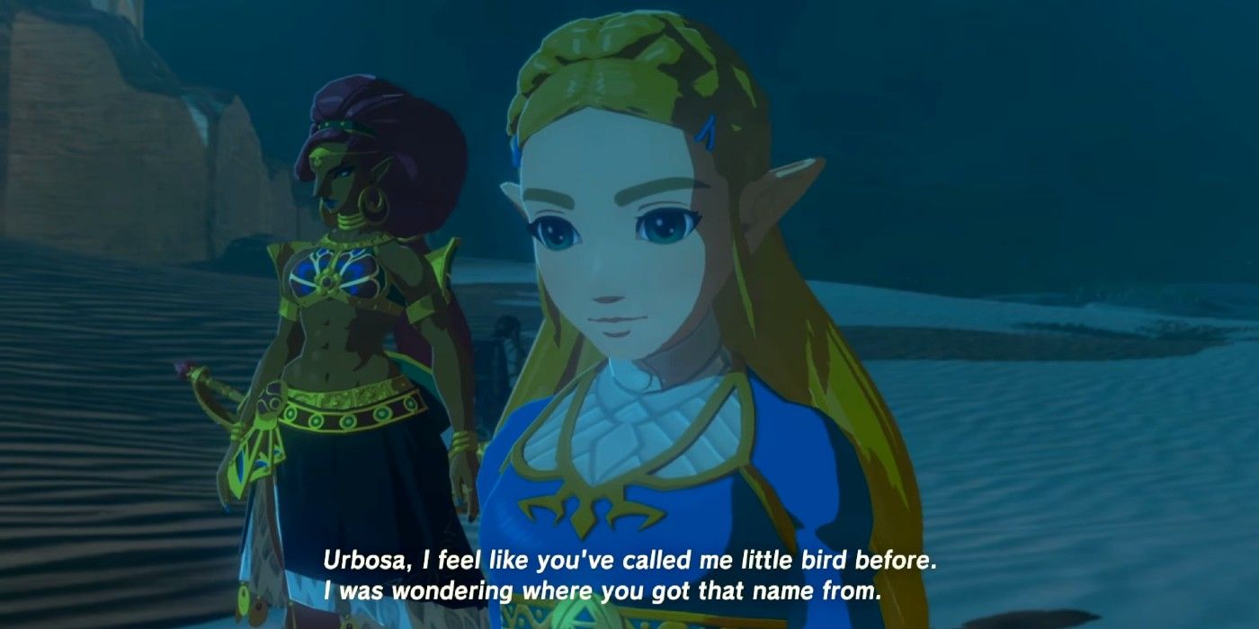 The Legend of Zelda: Who Princess Zelda's Mother Is