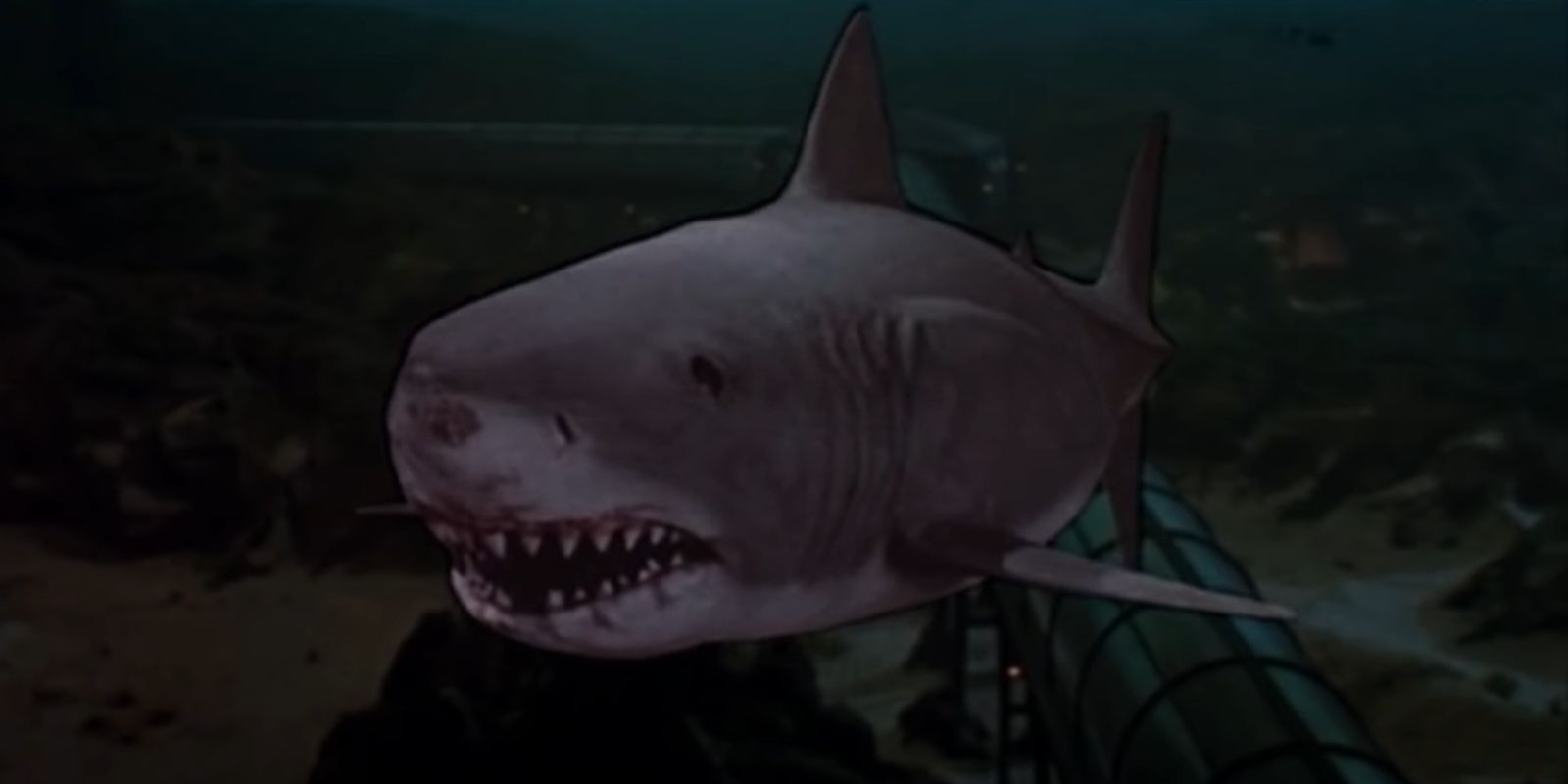 The Mother Shark swimming towards the control room in Jaws 3-D
