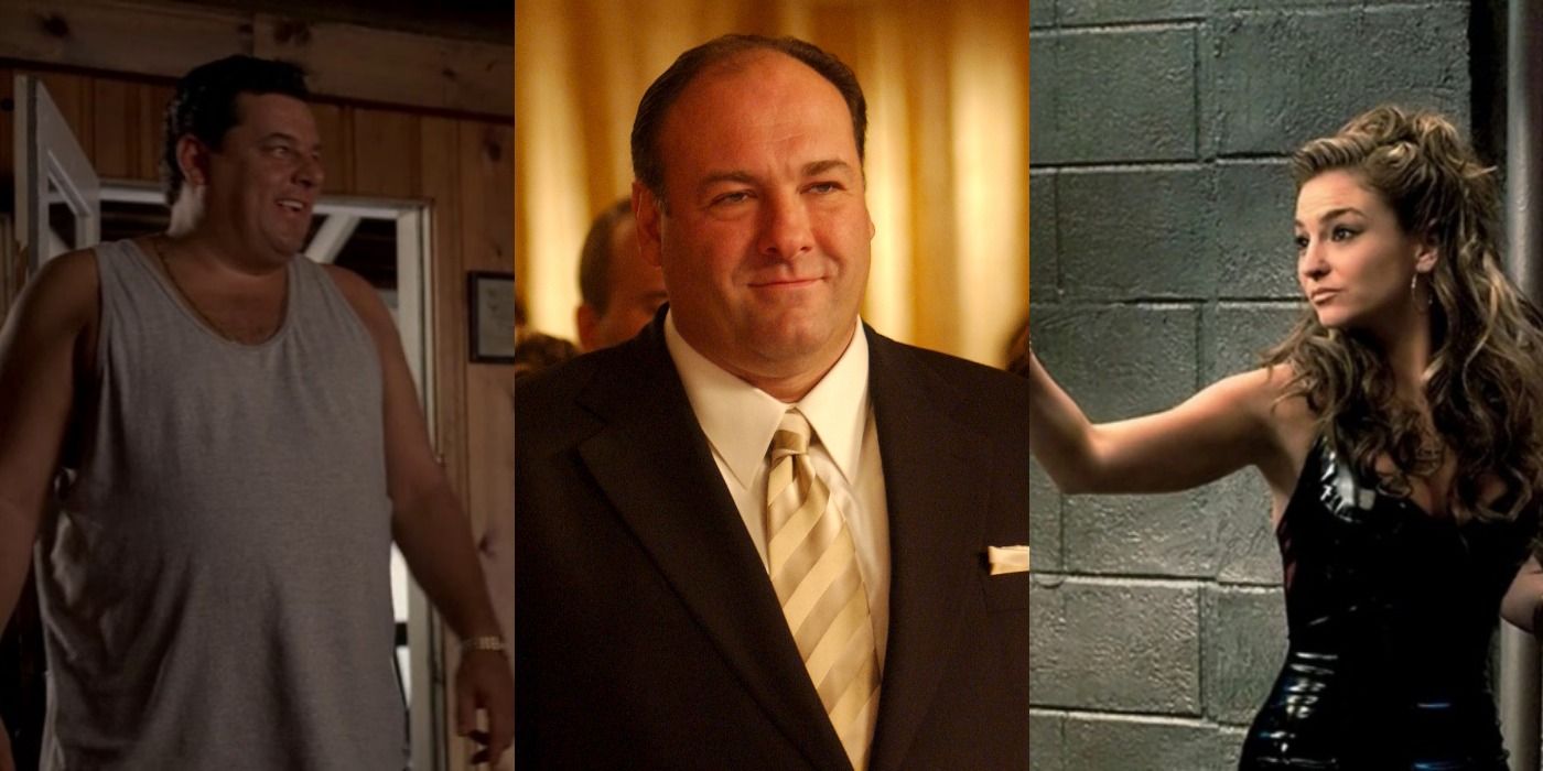 Collage of friendships on the Sopranos