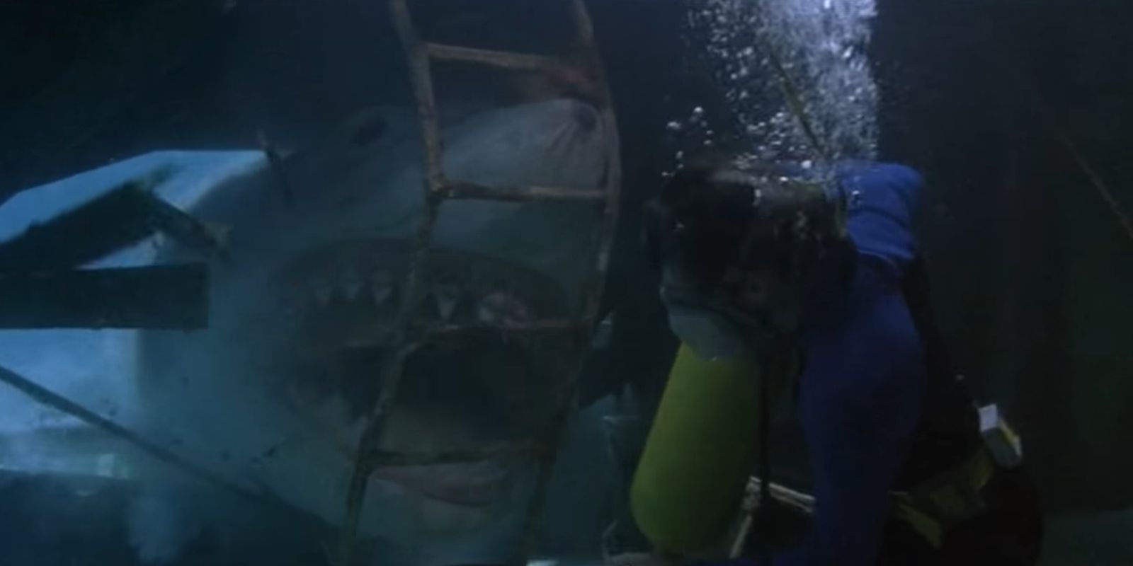 10 Biggest Unanswered Questions From The Jaws Franchise