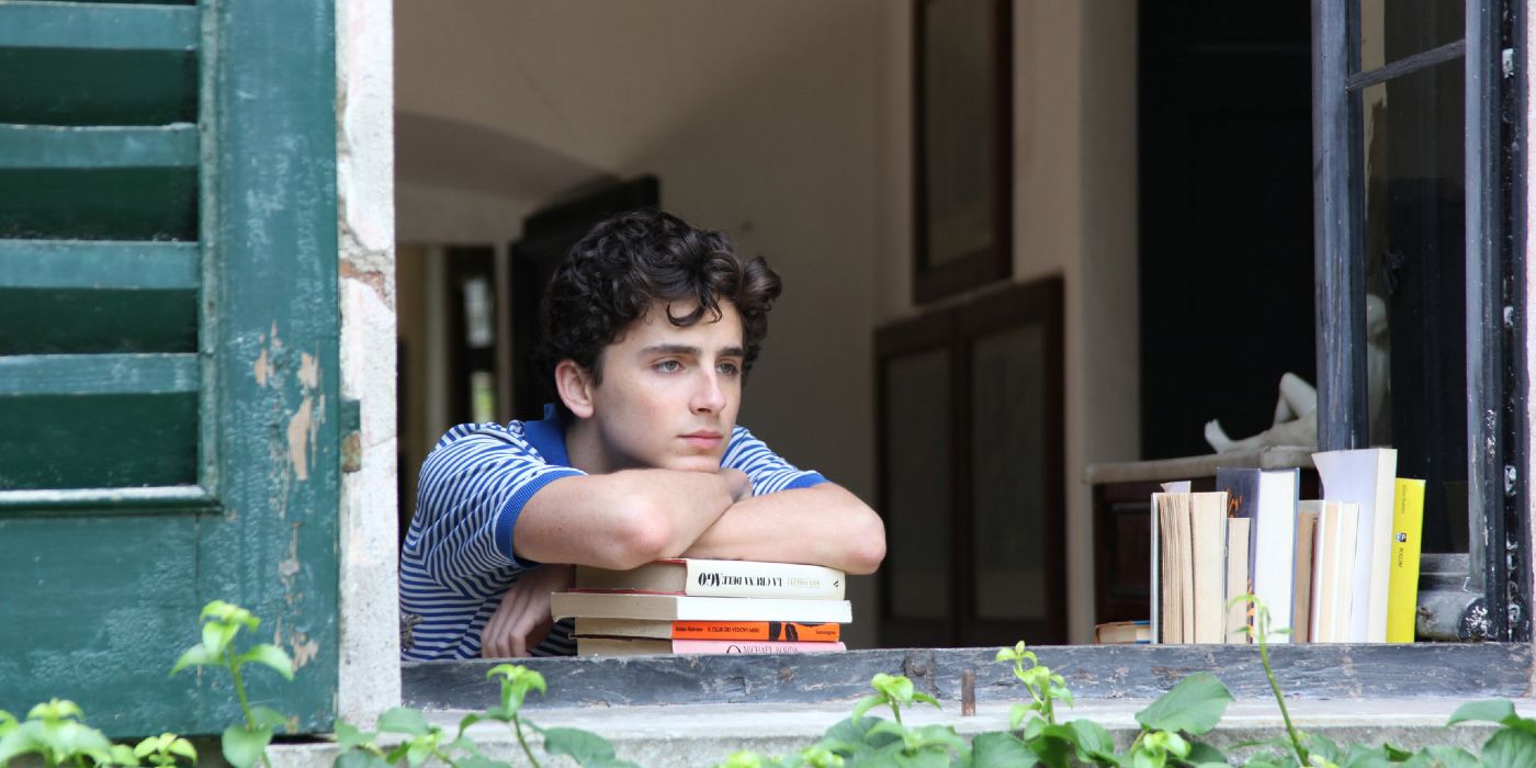 Timothee Chalamet In Call Me By Your Name