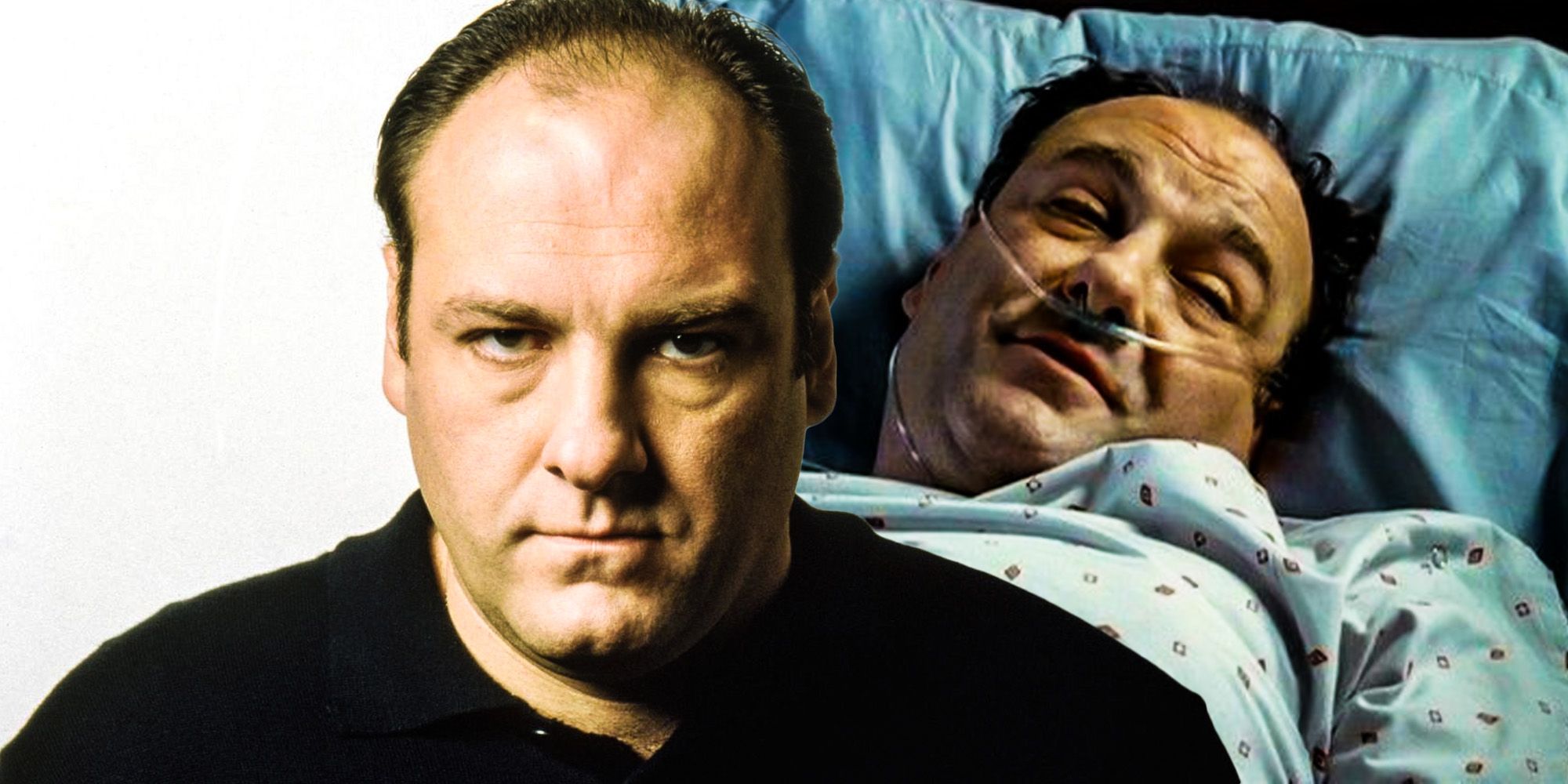 Photos: The face of Tony Soprano