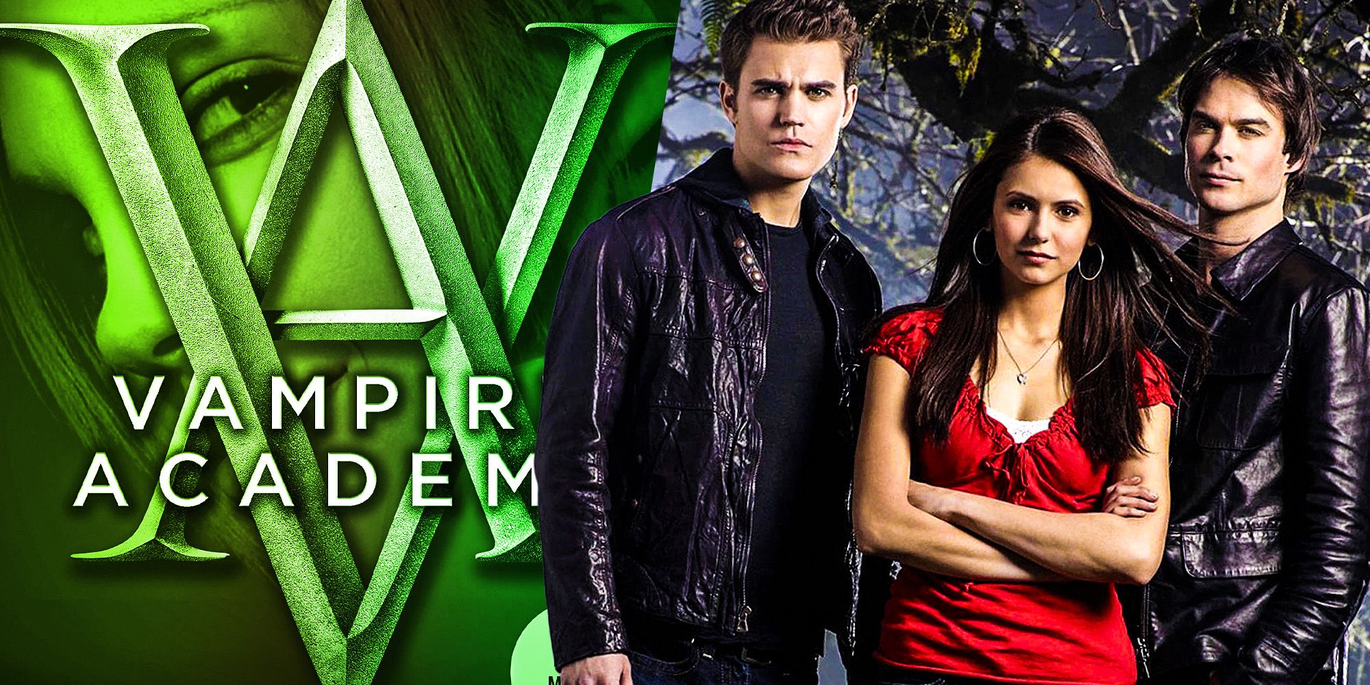 Vampire academy vs Vampire Diaries