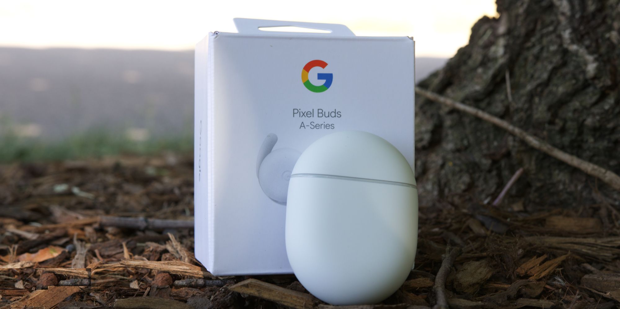 Google Pixel Buds A-Series charging case and retail box