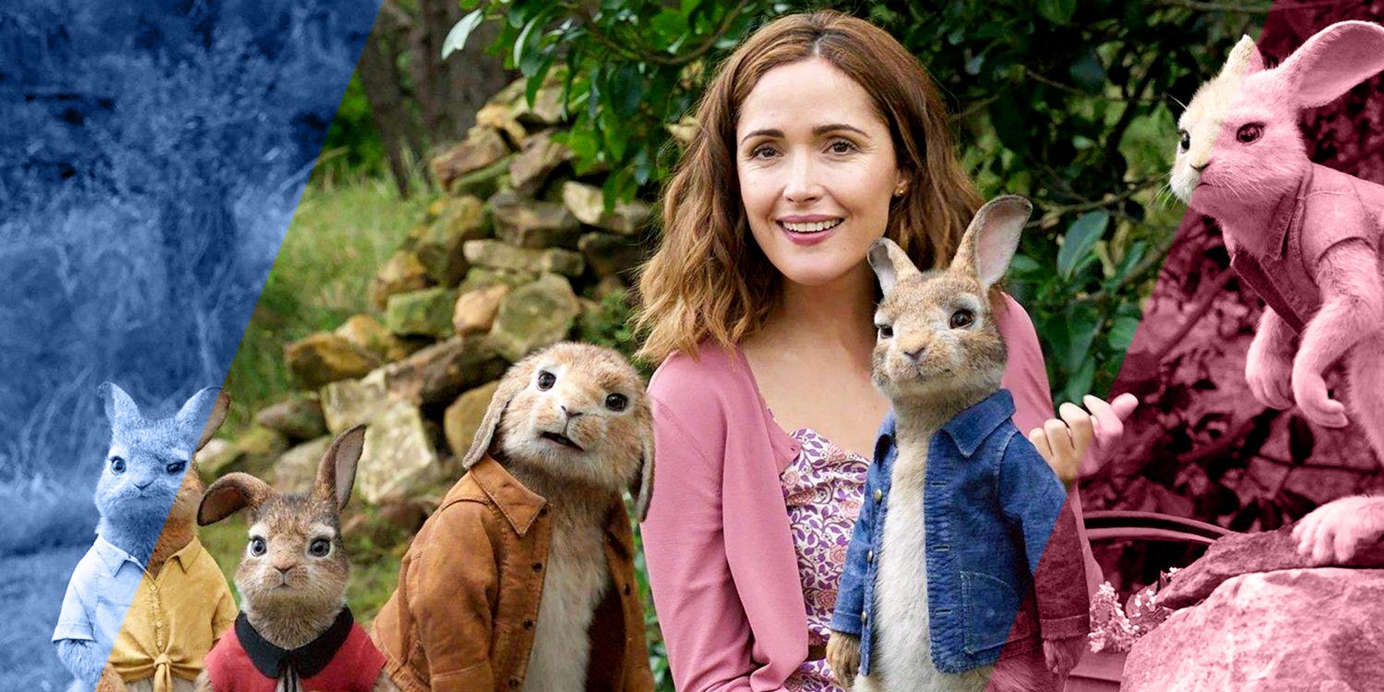 peter rabbit 3 release date story cast