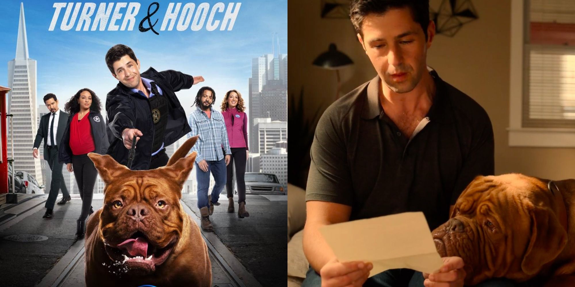 Turner And Hooch The 8 Best Characters So Far