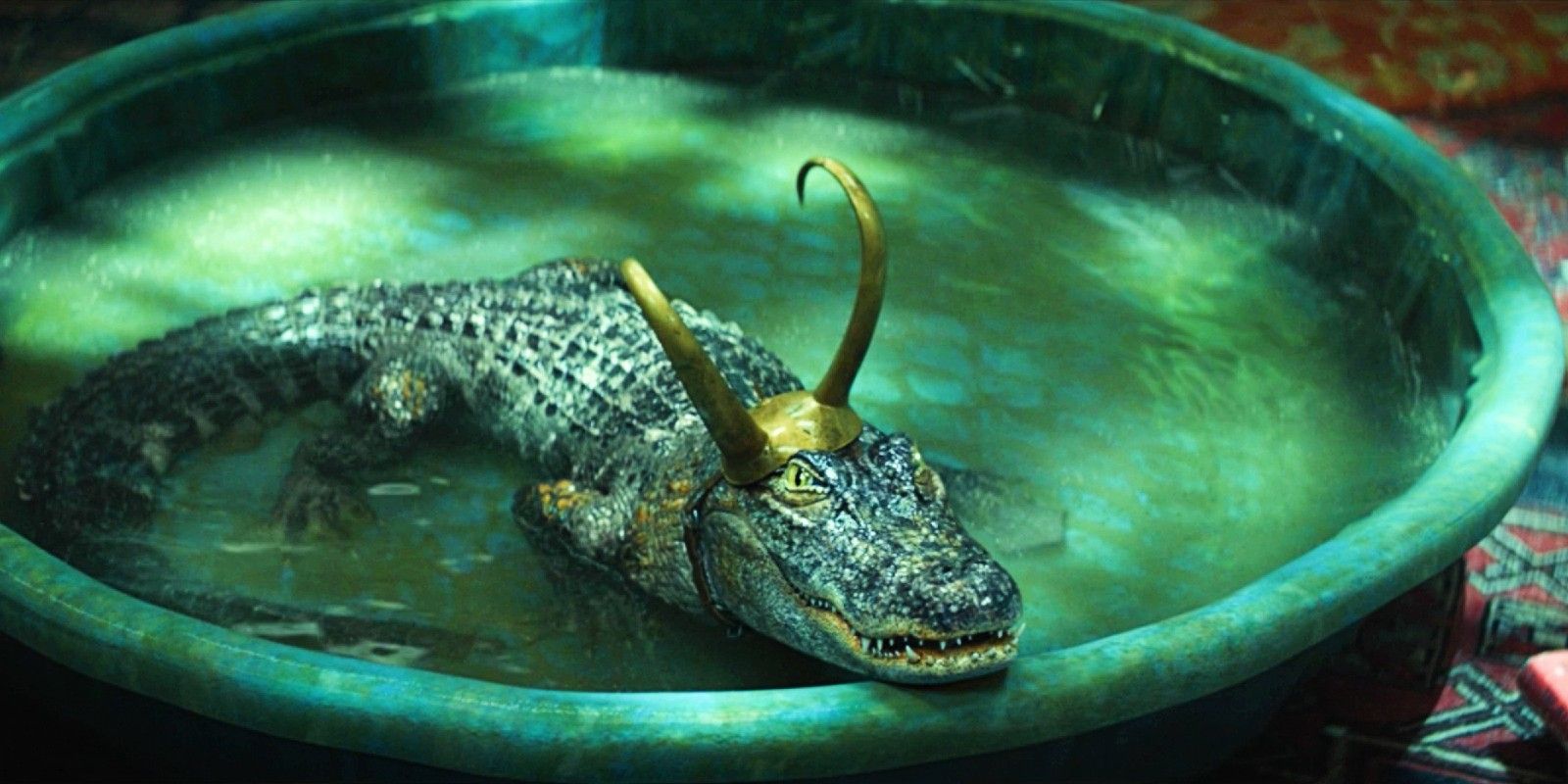 Alligator Loki swimming in a bird bath in episode 5 of Loki