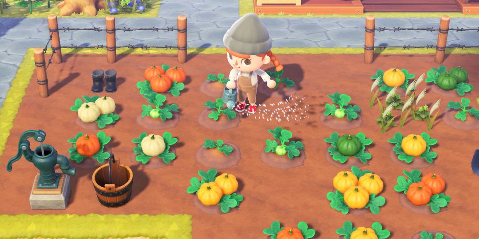 Animal Crossing Best Farm Designs For New Horizons