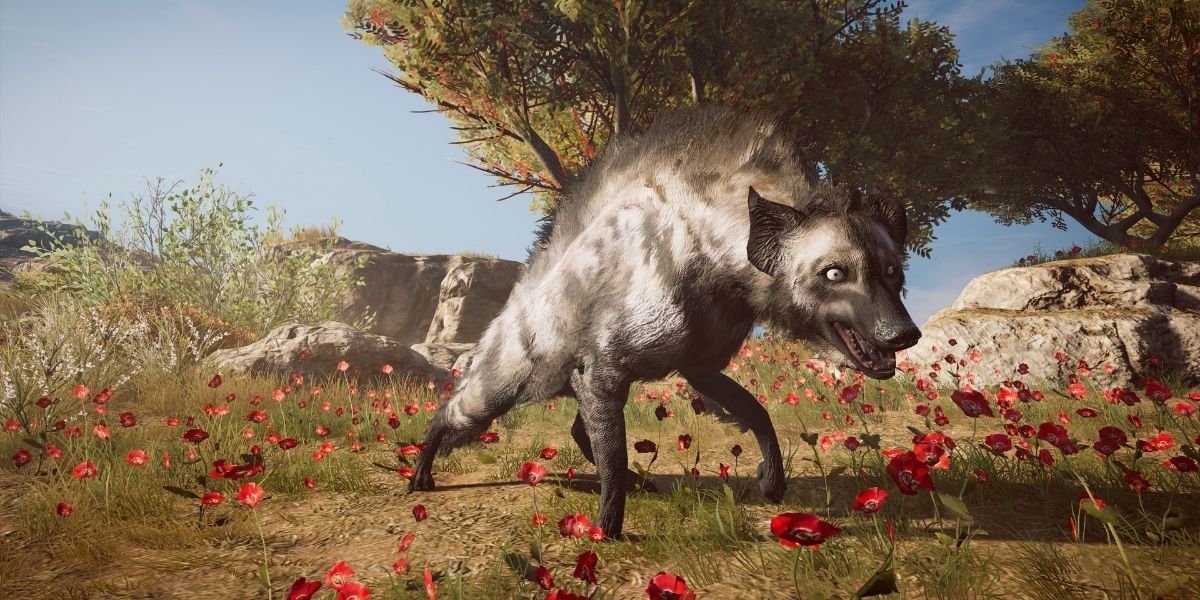 The Krokottas Hyena as seen in Assassin's-Creed-Odyssey