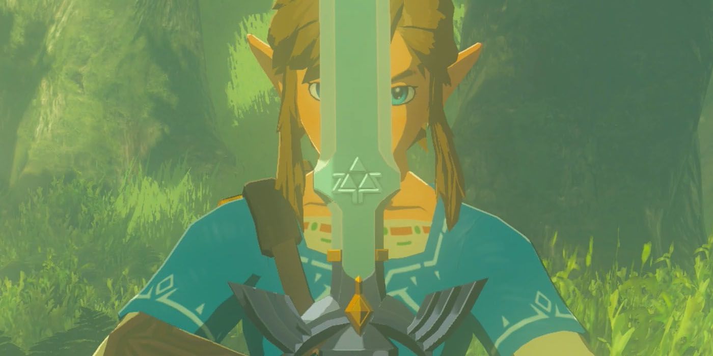 BOTW Link Holding Master Sword