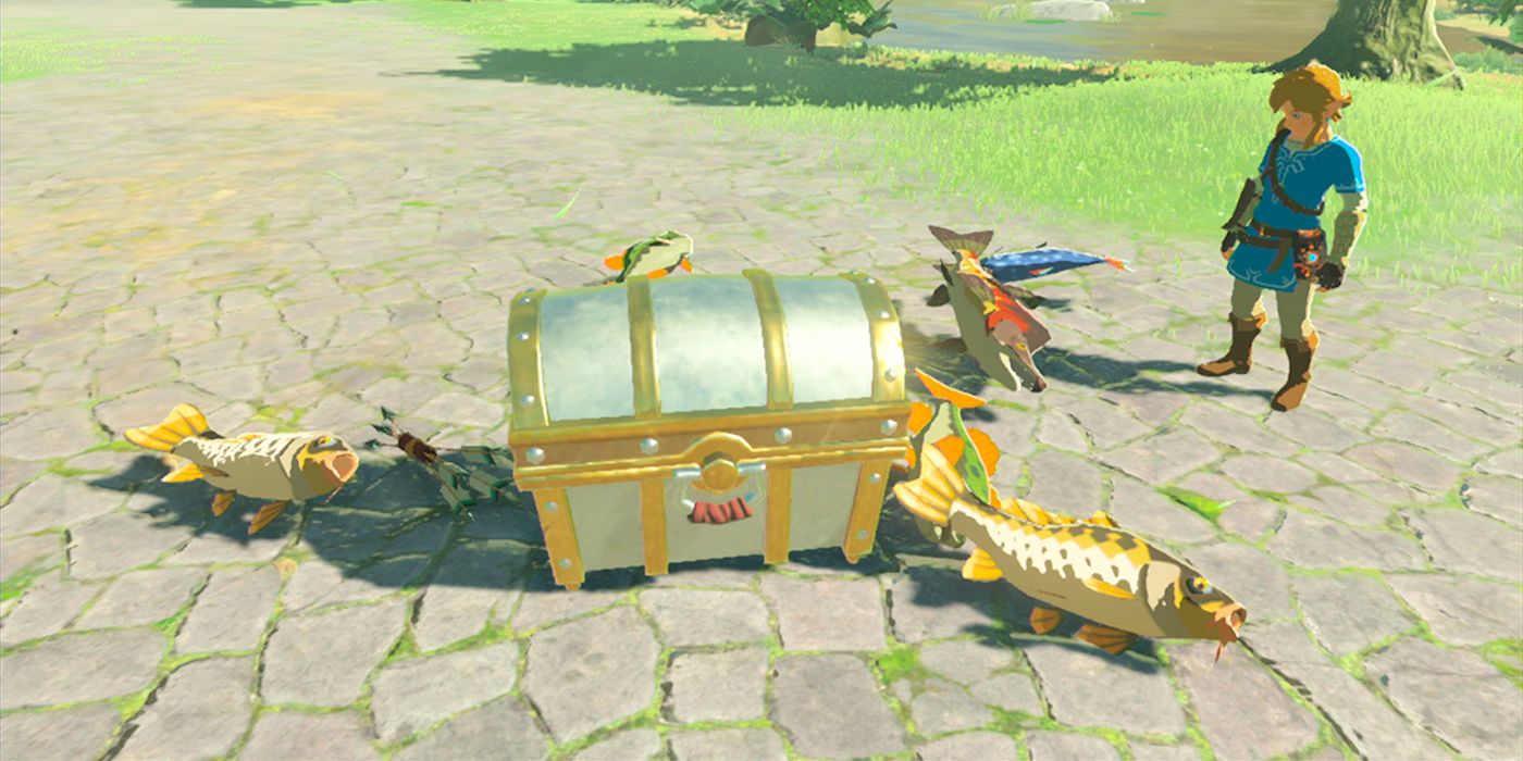 BOTW player opens impossible chest