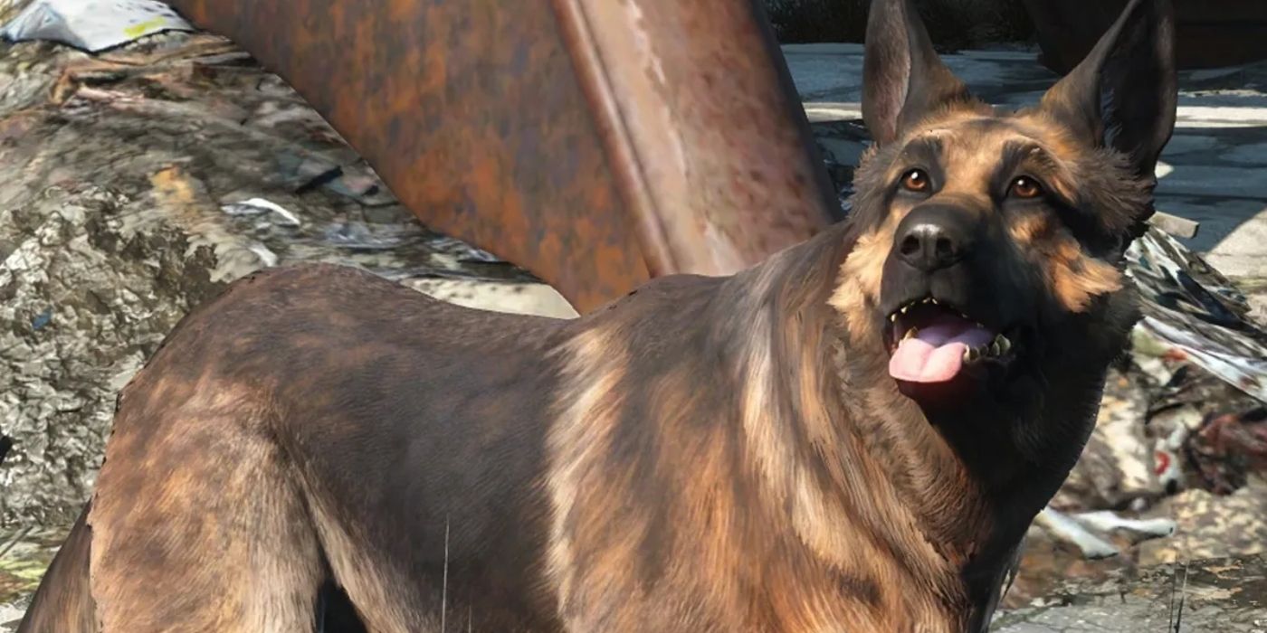 Bethesda Honors Dogmeat With Dog Shelter Charity Donation
