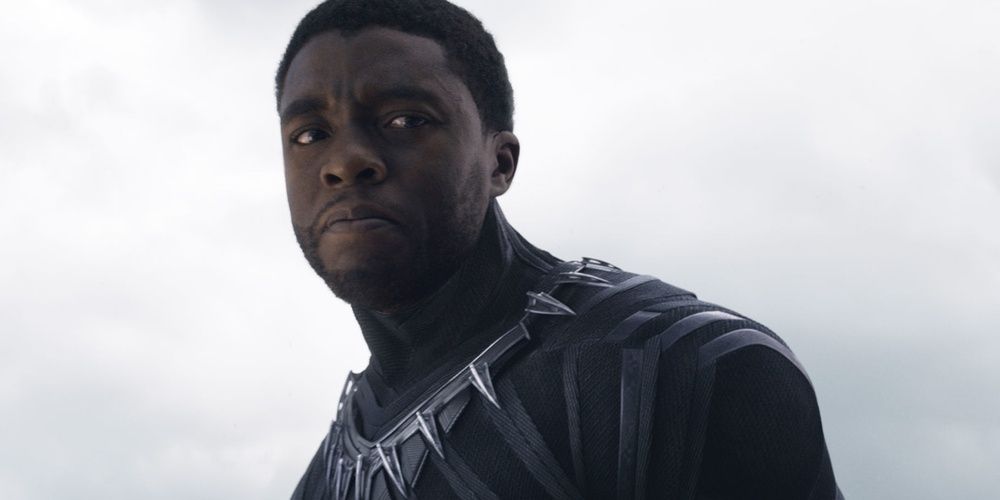 Black Panther looks angrily to his side