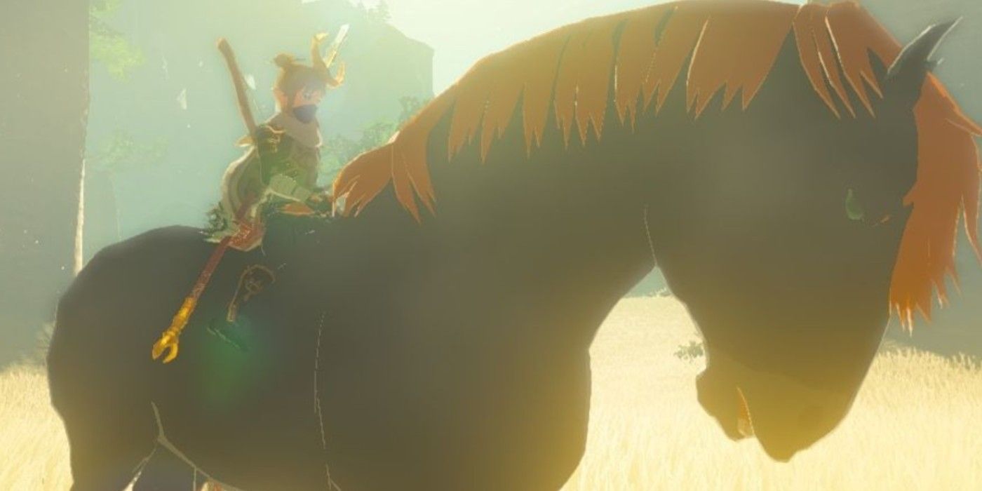 Breath Of The Wild Giant Horse