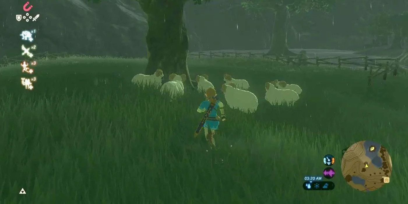 Breath of the Wild Sheep During Storm