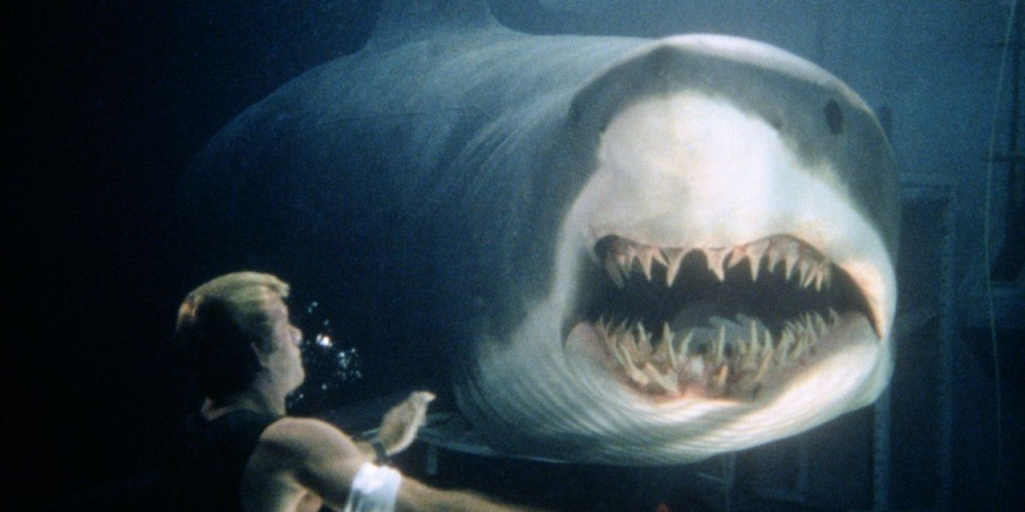 Carter encountering one of the sharks in Deep Blue Sea