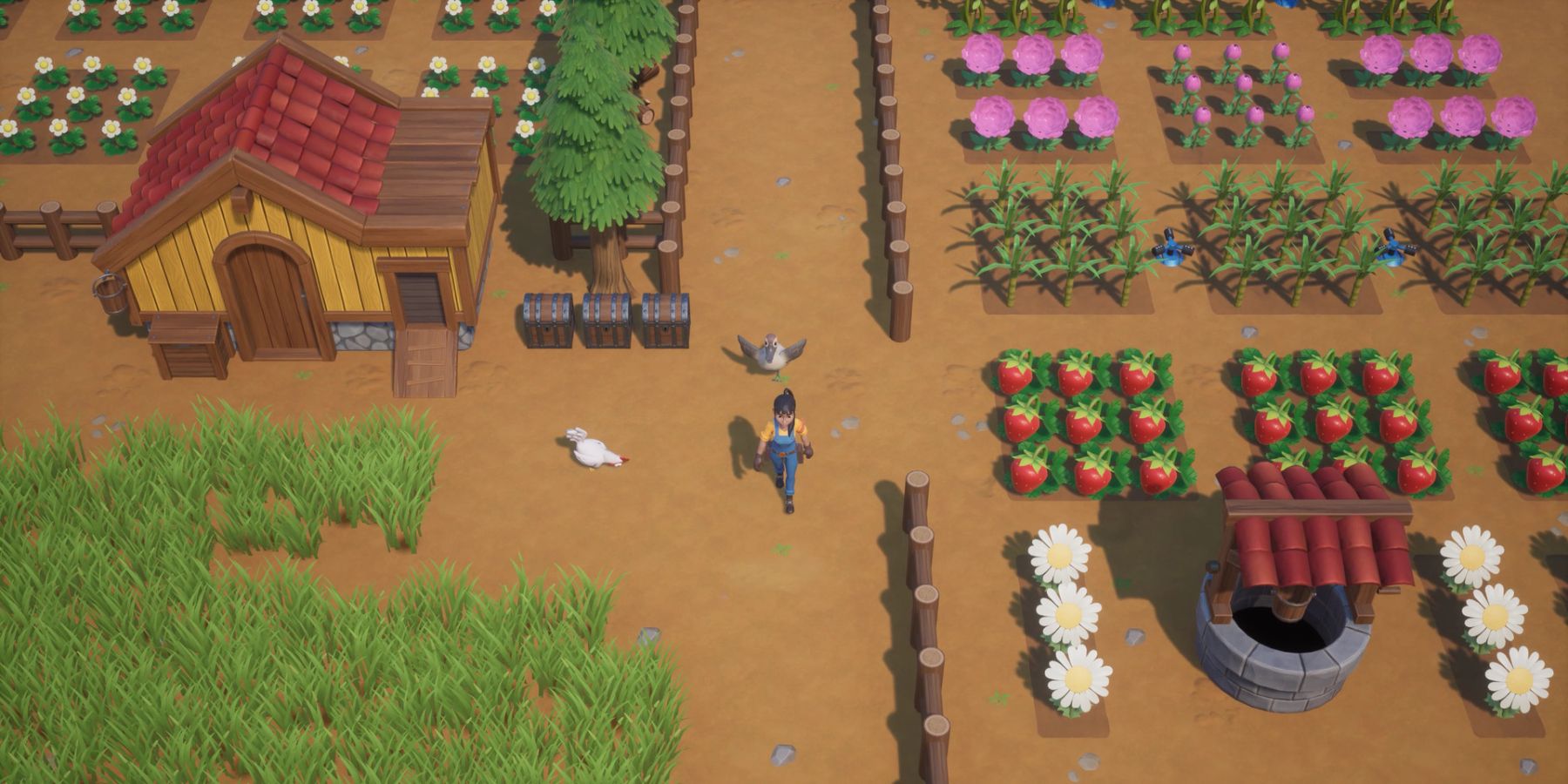 Walking through the farm in Coral Island while showcasing some of the crops