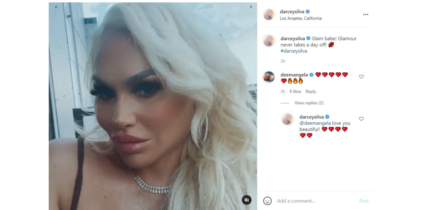 Darcey and Stacey Silva Instagram Plastic Surgery How Old In 90 Day Fiance