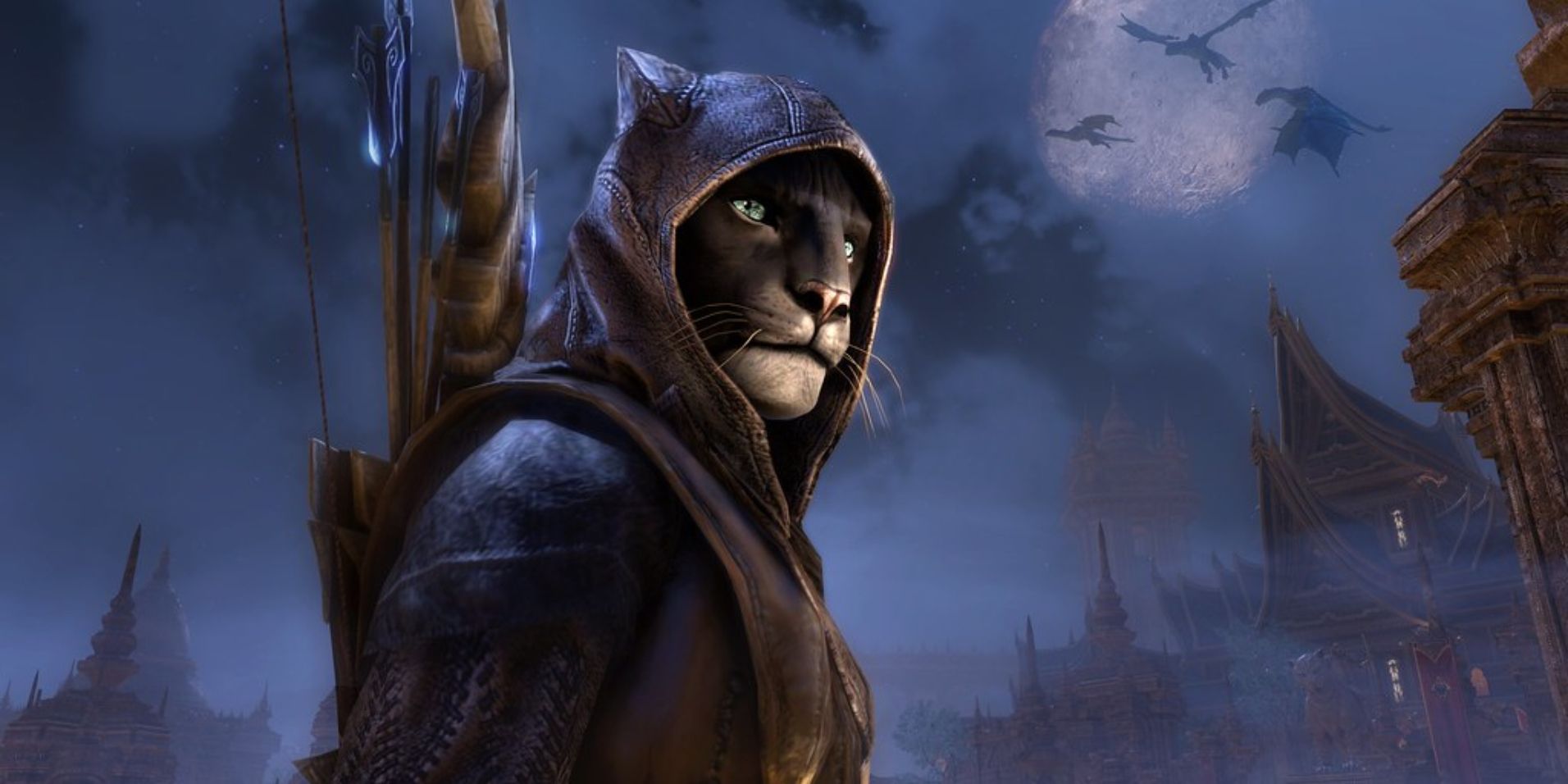 Elder Scrolls Darkest Disturbing Lore Khajiit Fur Trader