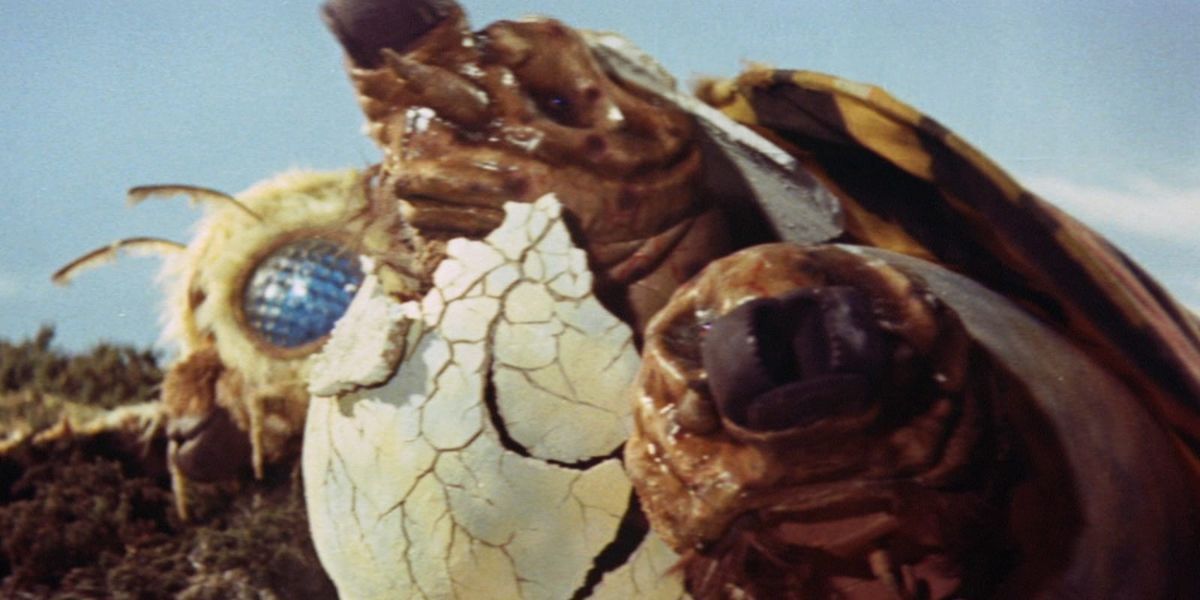 Mothra's larvae begin to hatch in Mothra vs. Godzilla.