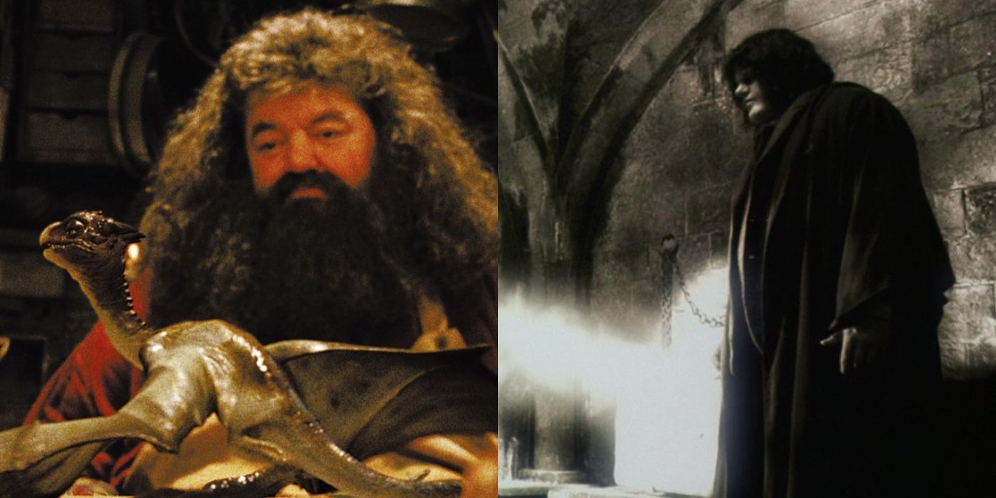 Hagrid with Baby Norbert next to image of Hagrid being expelled from Harry Potter