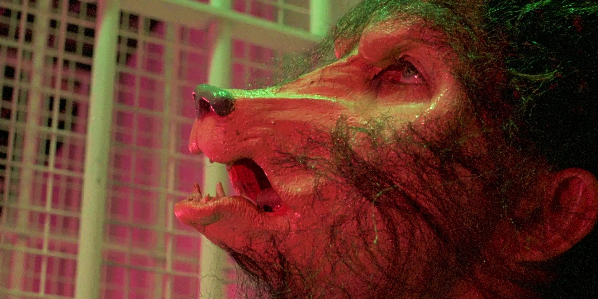 The Howling Franchise Ranked Worst To Best