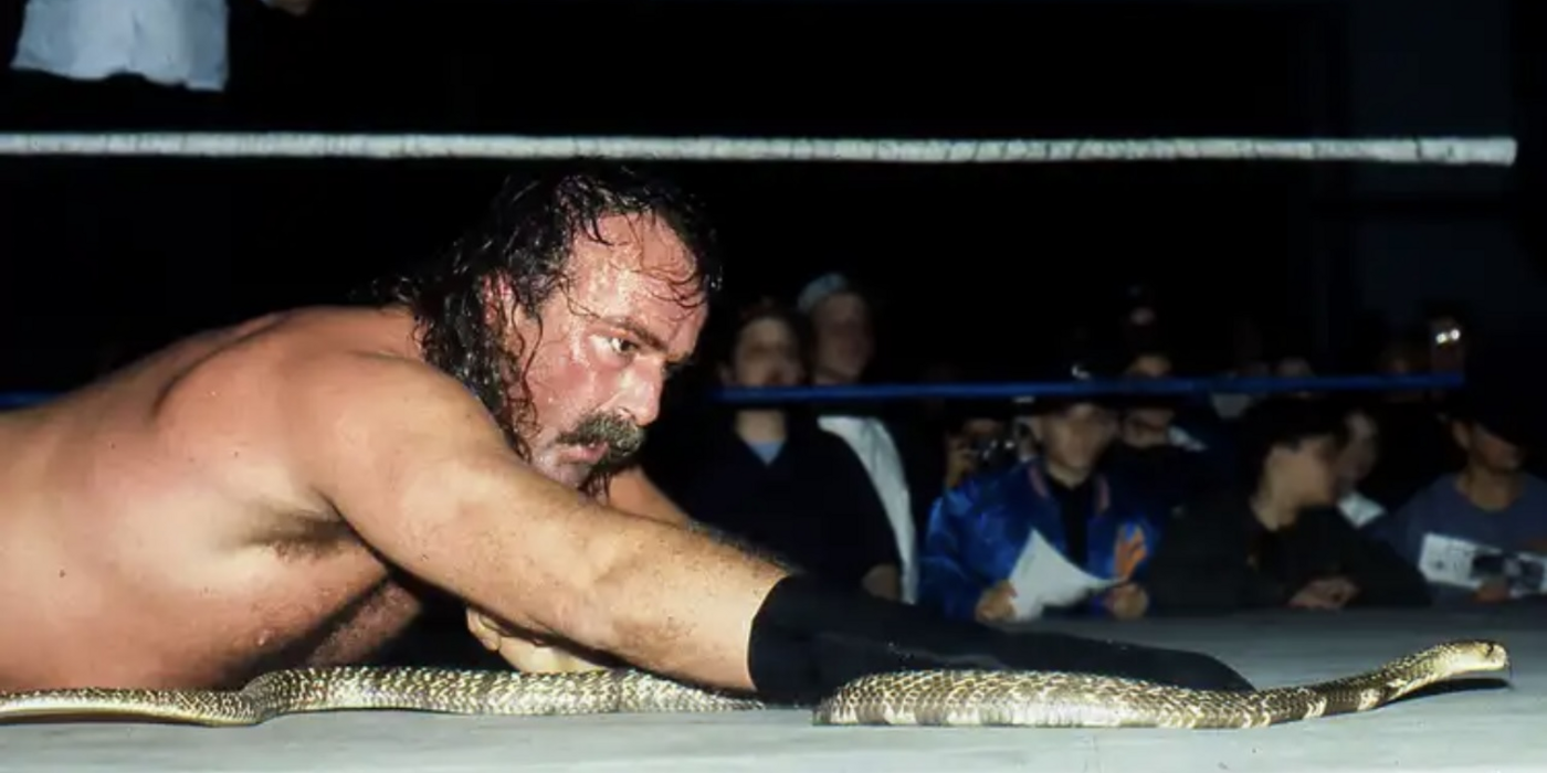 Jake Roberts reaches for a snake