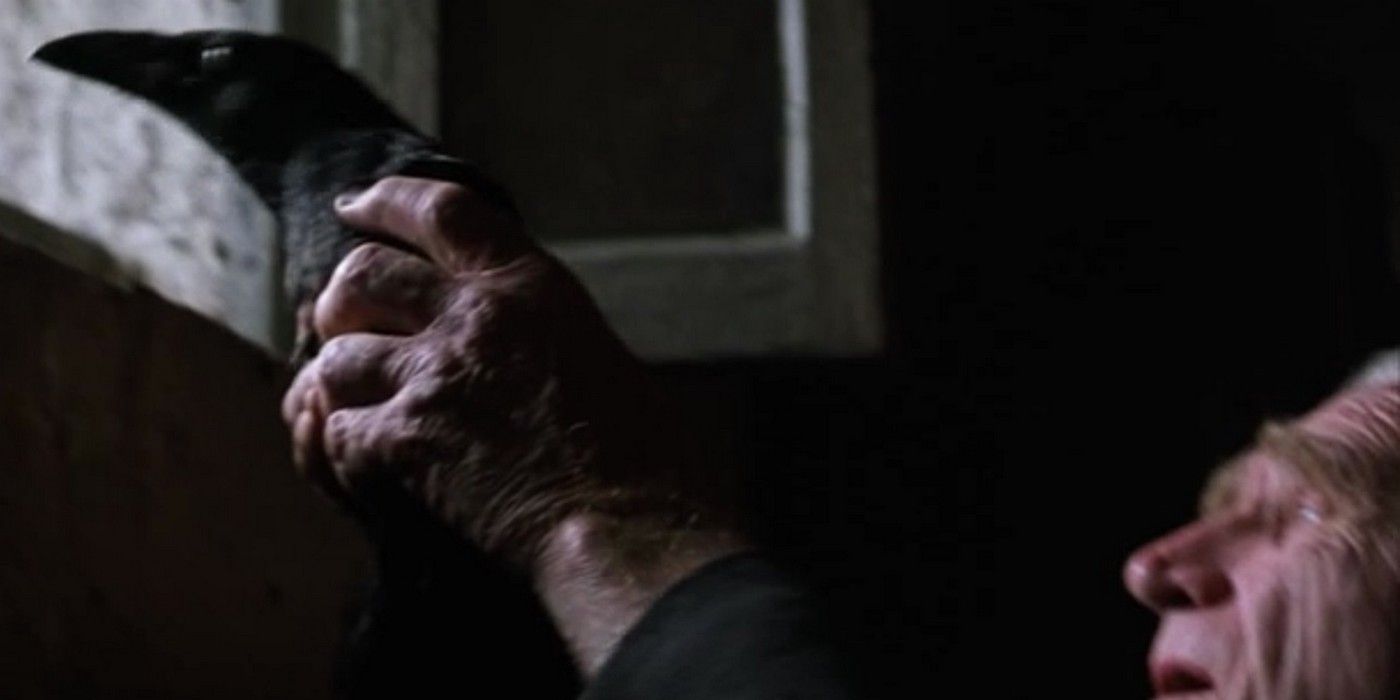 A Shawshank Redemption Cut Scene Revealed The Sad Fate Of Brooks' Bird