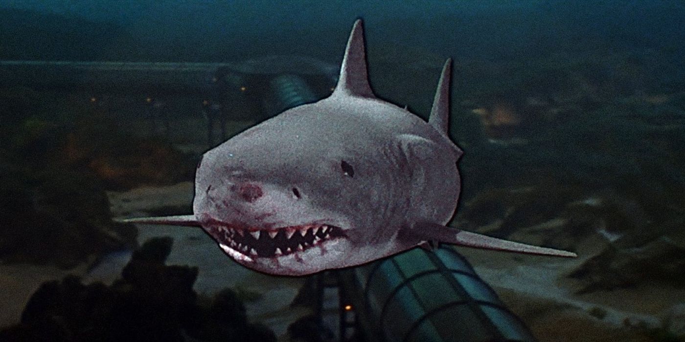 The shark from Jaws 3-D.