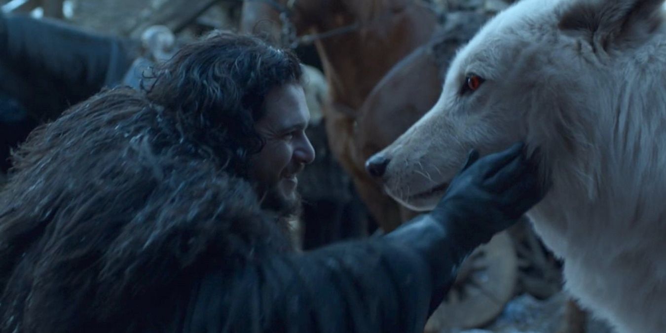 Jon Snow and Ghost at the wall on Game of Thrones