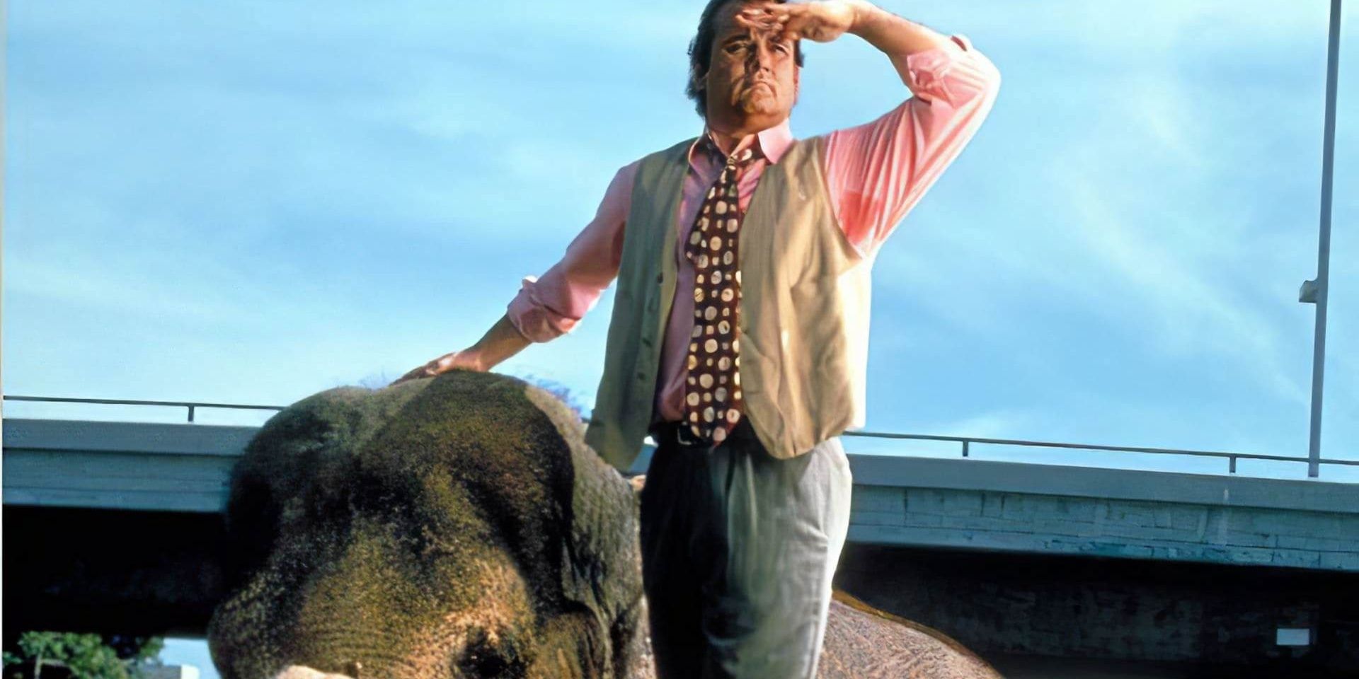 Bill Murray standing next to elephant in Larger Than Life