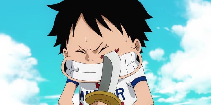 Why One Piece Waited So Long To Explain Luffy S Face Scar