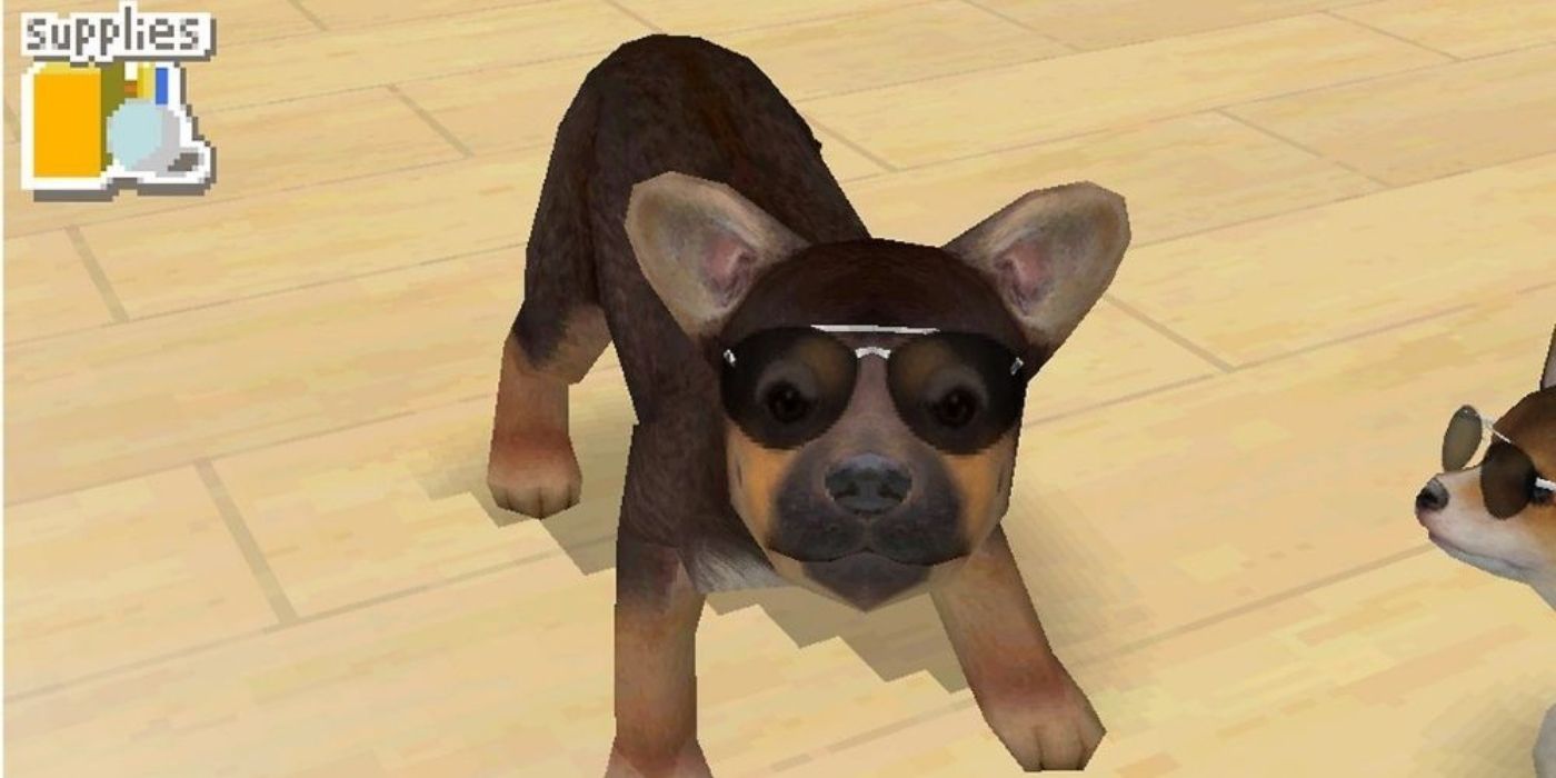 A screen shot of the Nintendo DS game, Nintendogs, with a dog crouching.