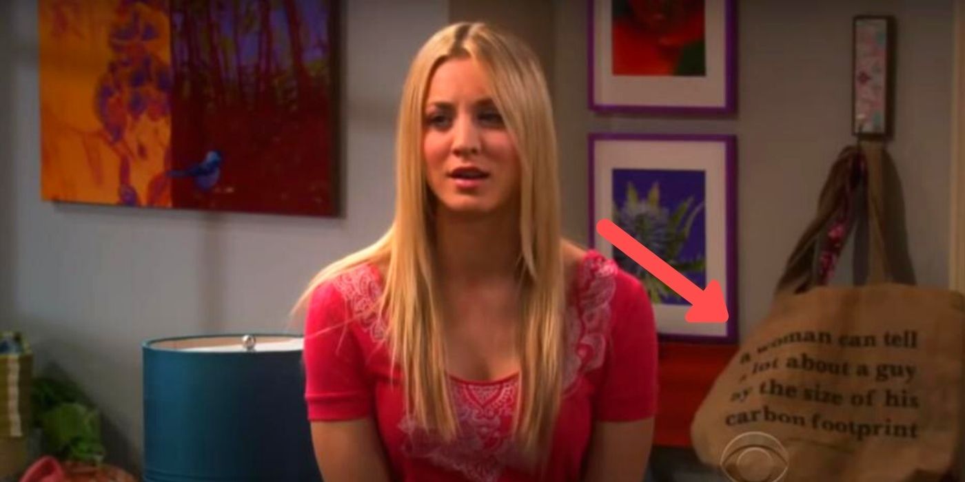Penny's enviornmental purse on The Big Bang Theory
