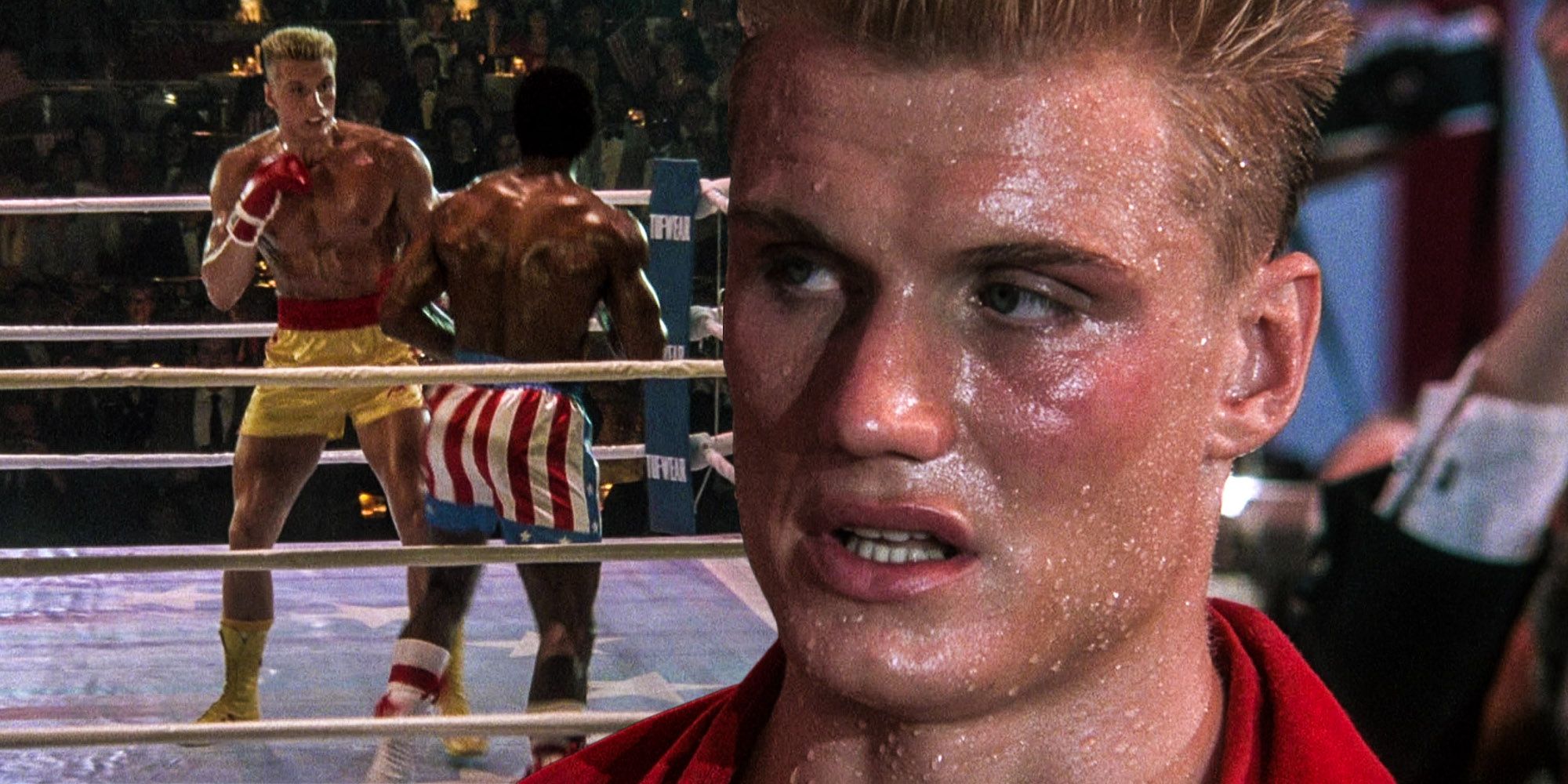 Rocky Ivan Dragos Boxing Record (Every Win & Loss)