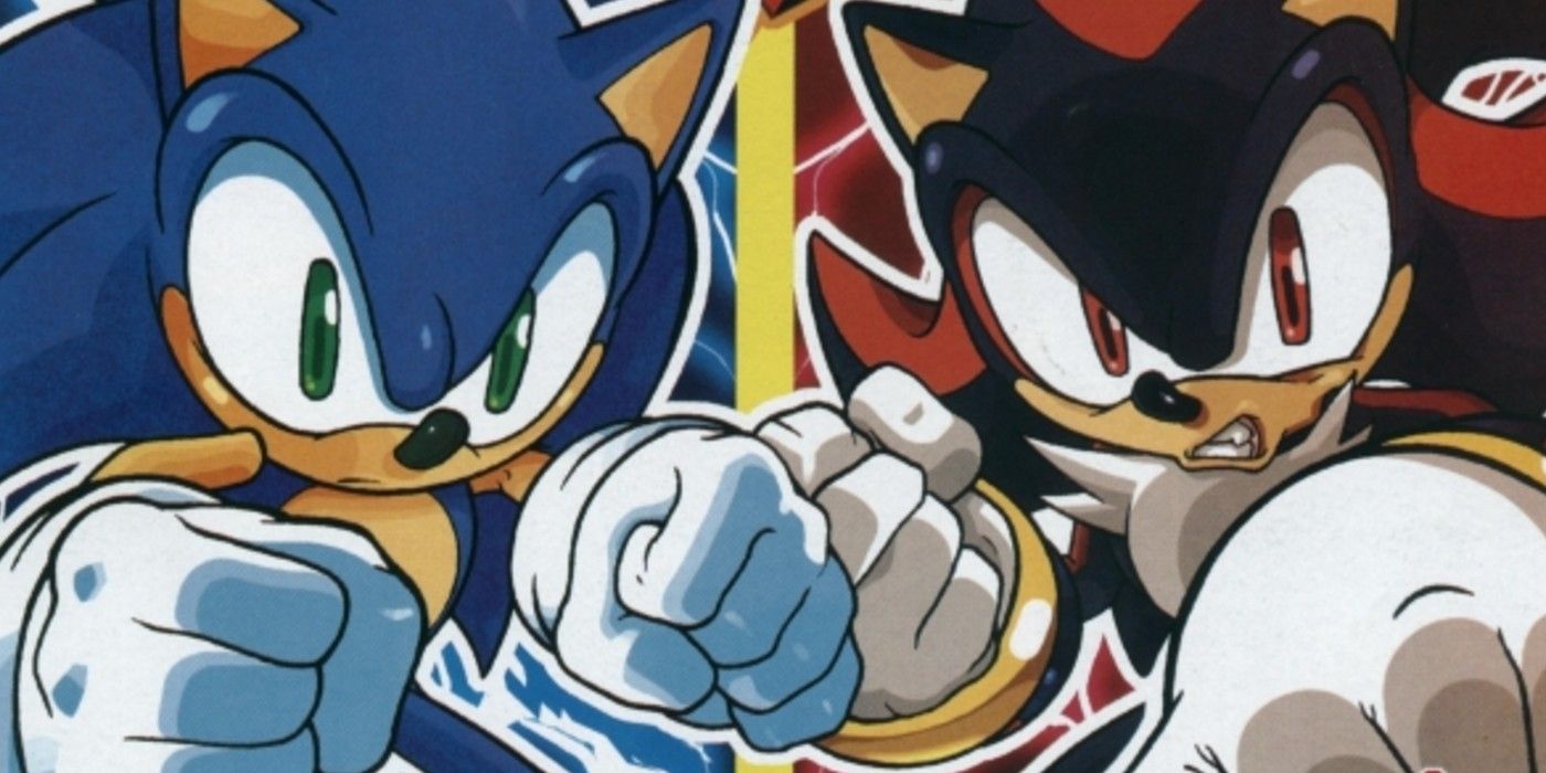 Sonic the Hedgehog and Shadow the Hedgehog.