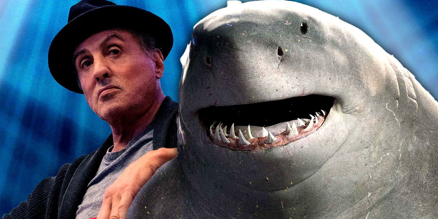 Sylvester Stallone and King Shark