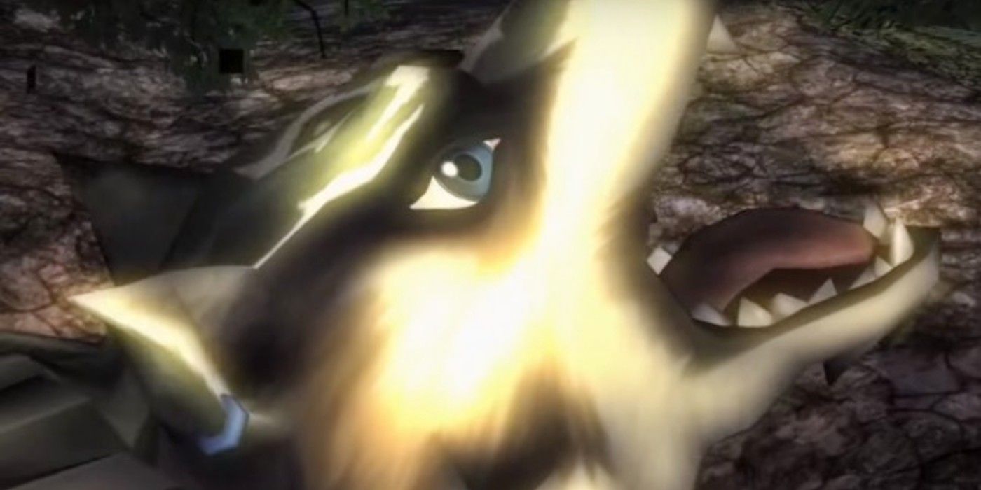 The Legend of Zelda Twilight Princess Link Transforming Into Wolf