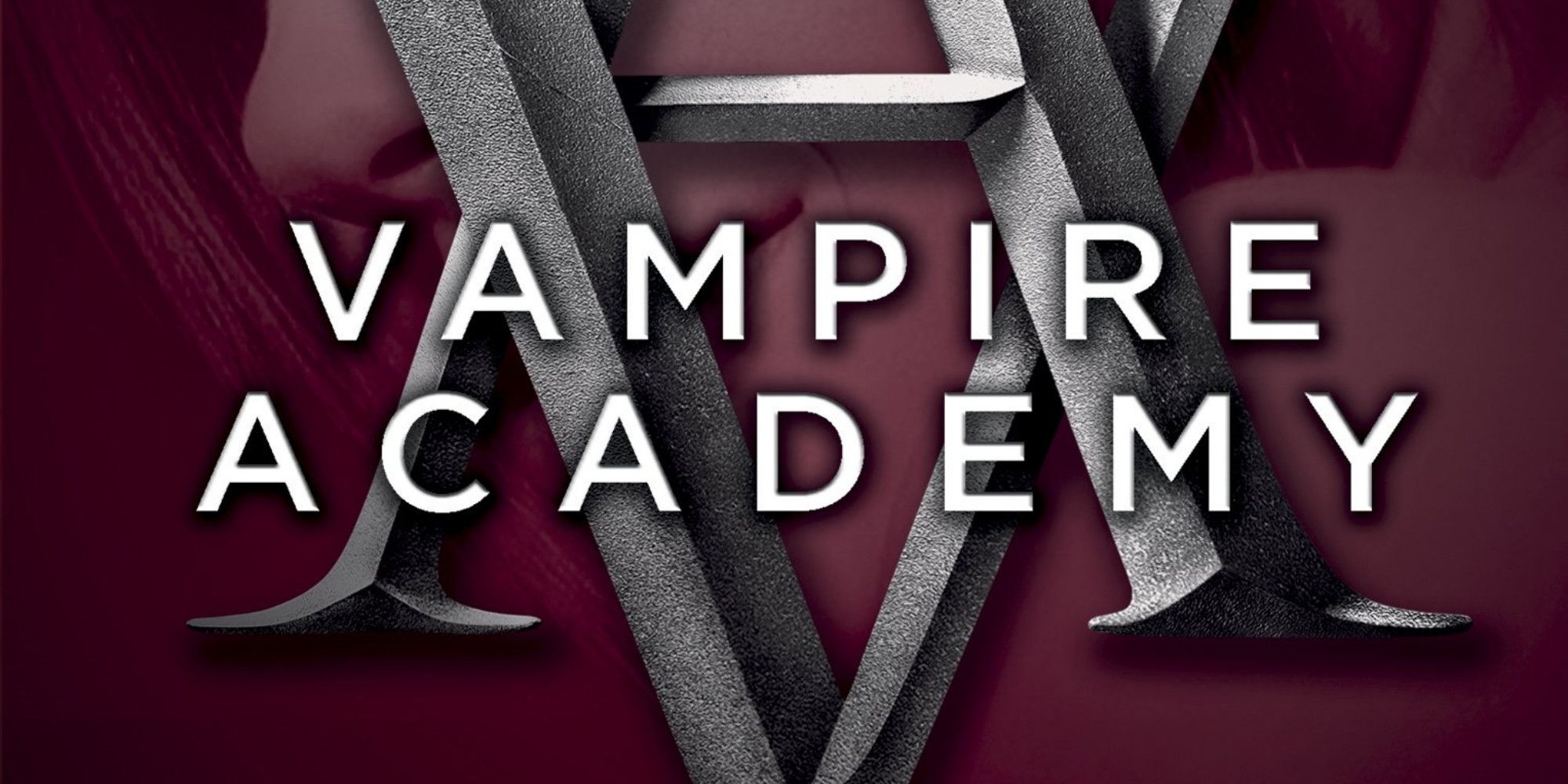 The Vampire Academy by Richelle Mead Book Cover