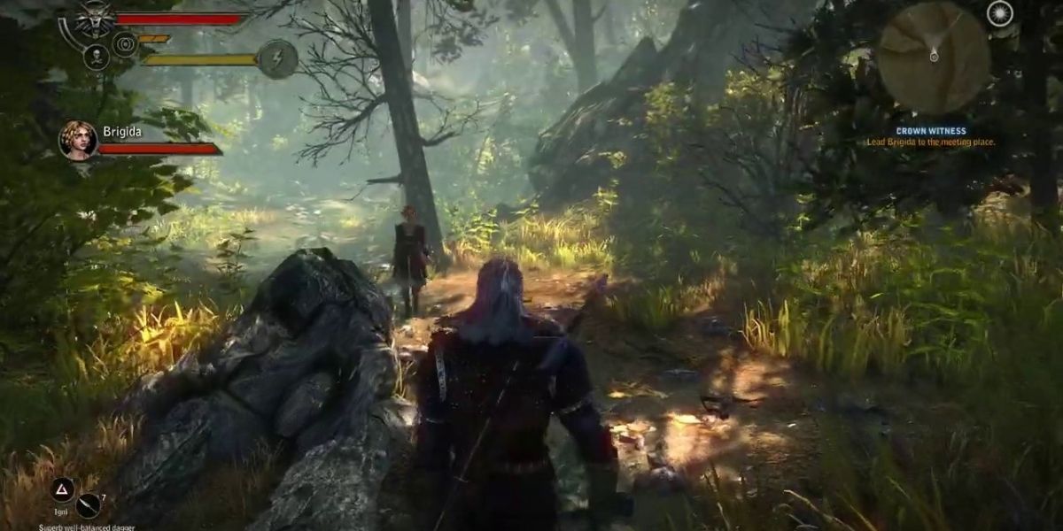 Geralt in the woods looking for sword Dancer in The Witcher 2.