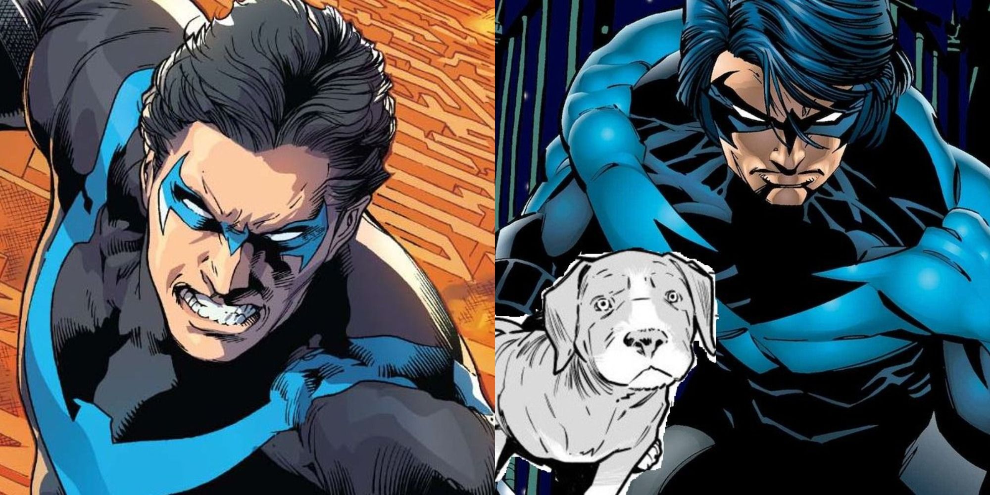 Split image of DC's Nightwing alone and with his dog